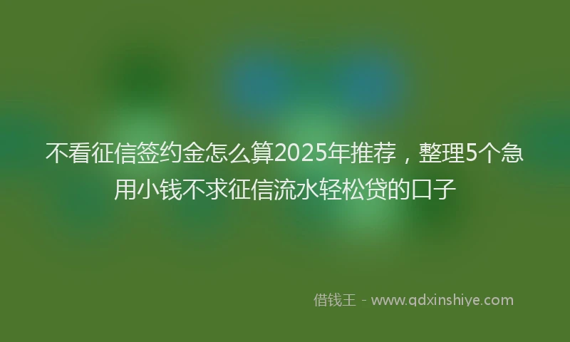 不看征信签约金怎么算2025年推荐，整理5个急用小钱不求征信流水轻松贷的口子