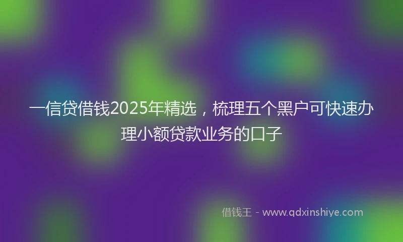 一信贷借钱2025年精选，梳理五个黑户可快速办理小额贷款业务的口子