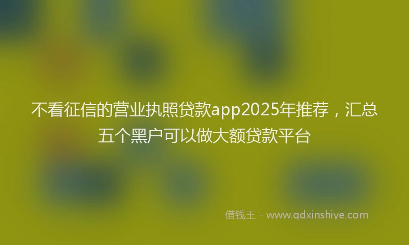 不看征信的营业执照贷款app2025年推荐，汇总五个黑户可以做大额贷款平台