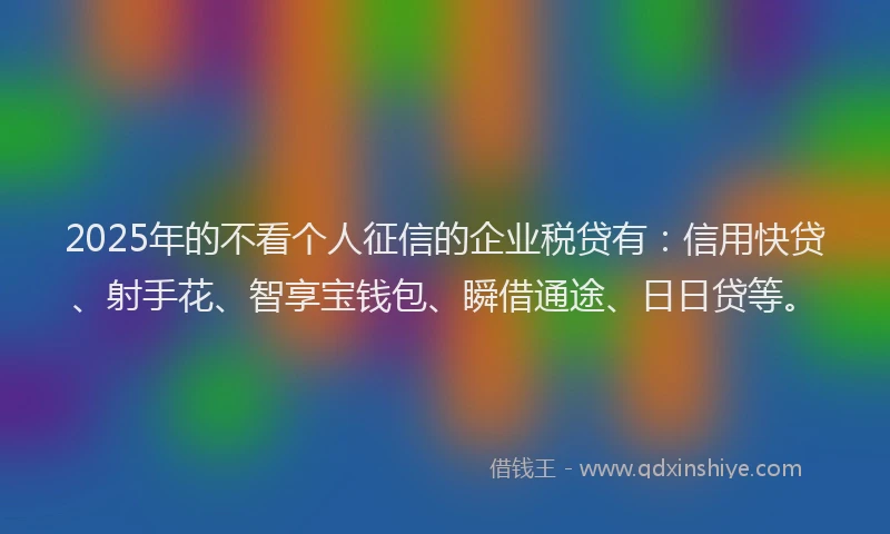 2025年的不看个人征信的企业税贷有：信用快贷、射手花、智享宝钱包、瞬借通途、日日贷等。