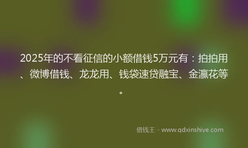 2025年的不看征信的小额借钱5万元有：拍拍用、微博借钱、龙龙用、钱袋速贷融宝、金瀛花等。
