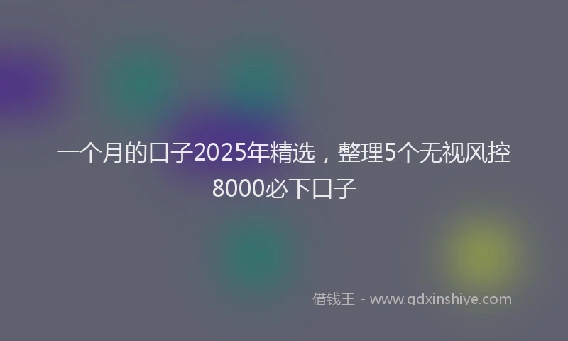 一个月的口子2025年精选，整理5个无视风控8000必下口子