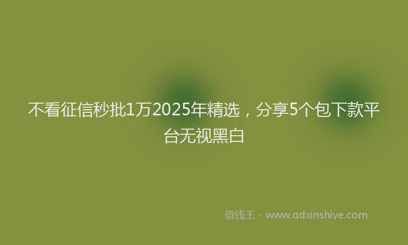 不看征信秒批1万2025年精选，分享5个包下款平台无视黑白