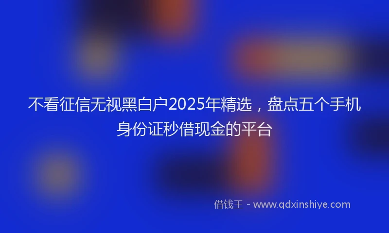不看征信无视黑白户2025年精选，盘点五个手机身份证秒借现金的平台