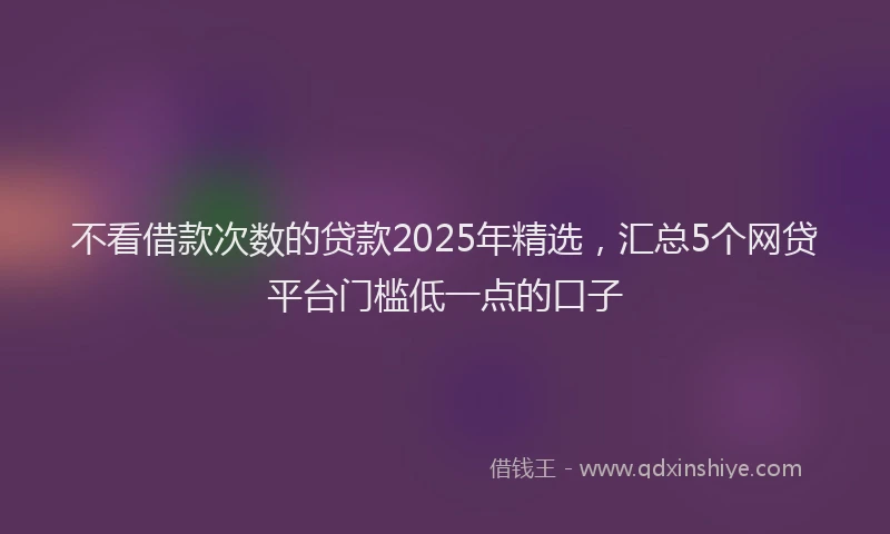 不看借款次数的贷款2025年精选，汇总5个网贷平台门槛低一点的口子