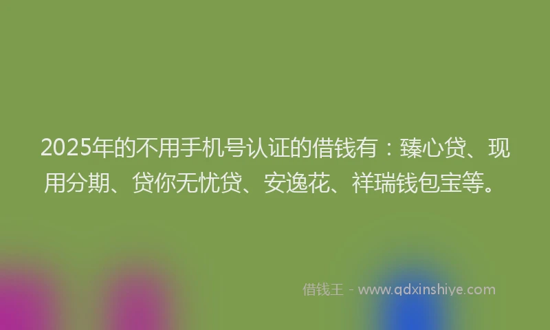 2025年的不用手机号认证的借钱有：臻心贷、现用分期、贷你无忧贷、安逸花、祥瑞钱包宝等。