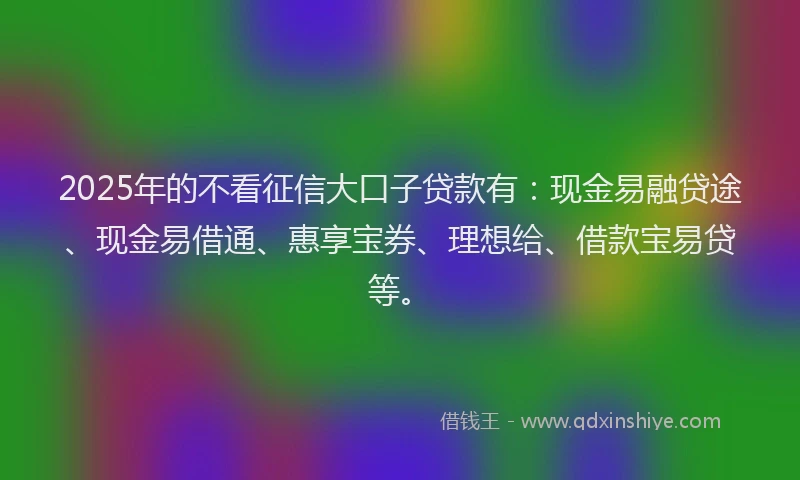 2025年的不看征信大口子贷款有：现金易融贷途、现金易借通、惠享宝券、理想给、借款宝易贷等。