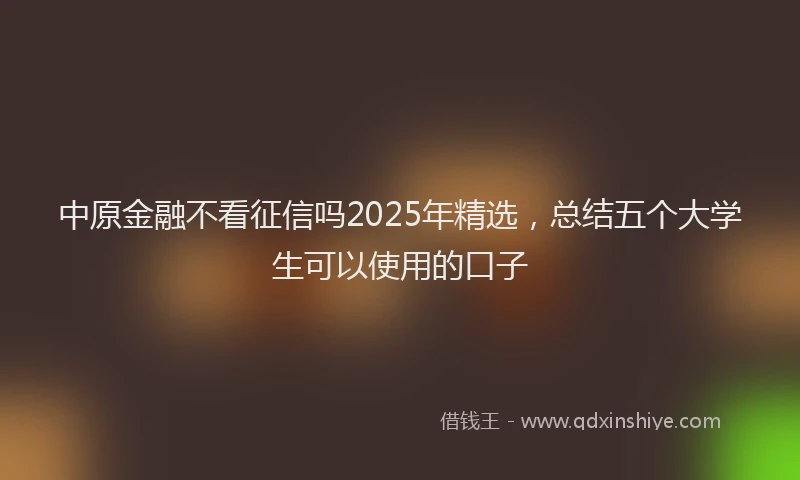 中原金融不看征信吗2025年精选，总结五个大学生可以使用的口子