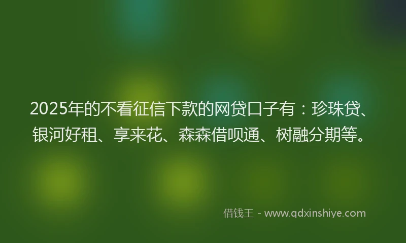 2025年的不看征信下款的网贷口子有：珍珠贷、银河好租、享来花、森森借呗通、树融分期等。
