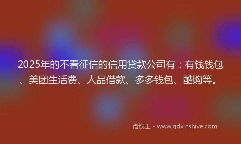 2025年的不看征信的信用贷款公司有：有钱钱包、美团生活费、人品借款、多多钱包、酷购等。