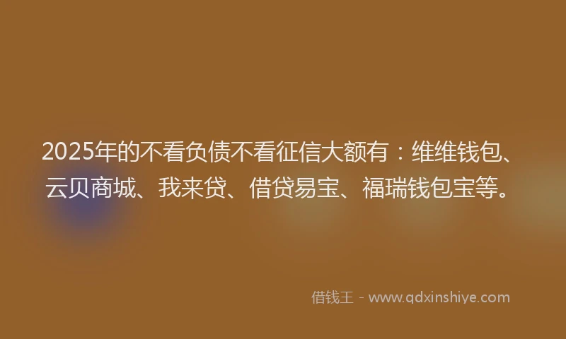 2025年的不看负债不看征信大额有：维维钱包、云贝商城、我来贷、借贷易宝、福瑞钱包宝等。
