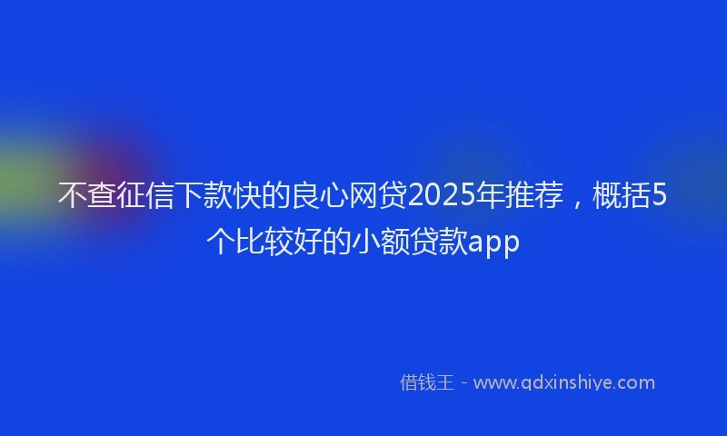 不查征信下款快的良心网贷2025年推荐，概括5个比较好的小额贷款app