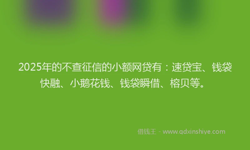 2025年的不查征信的小额网贷有：速贷宝、钱袋快融、小鹅花钱、钱袋瞬借、榕贝等。