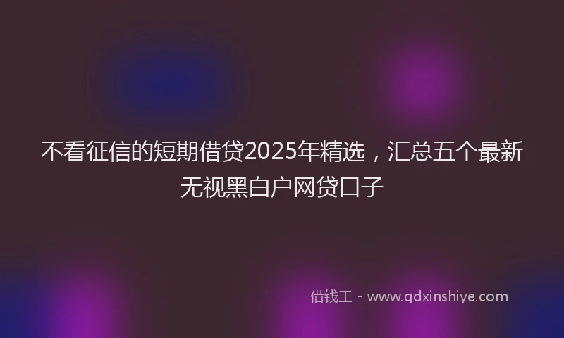 不看征信的短期借贷2025年精选，汇总五个最新无视黑白户网贷口子