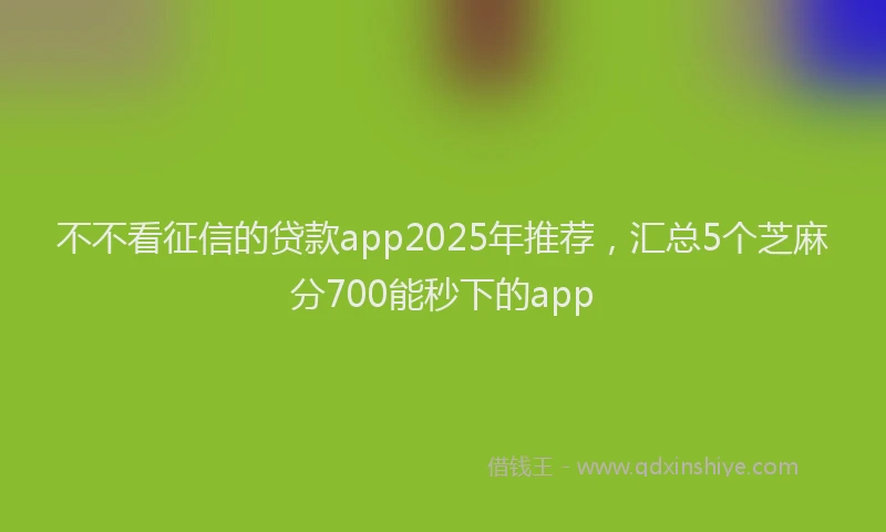 不不看征信的贷款app2025年推荐，汇总5个芝麻分700能秒下的app
