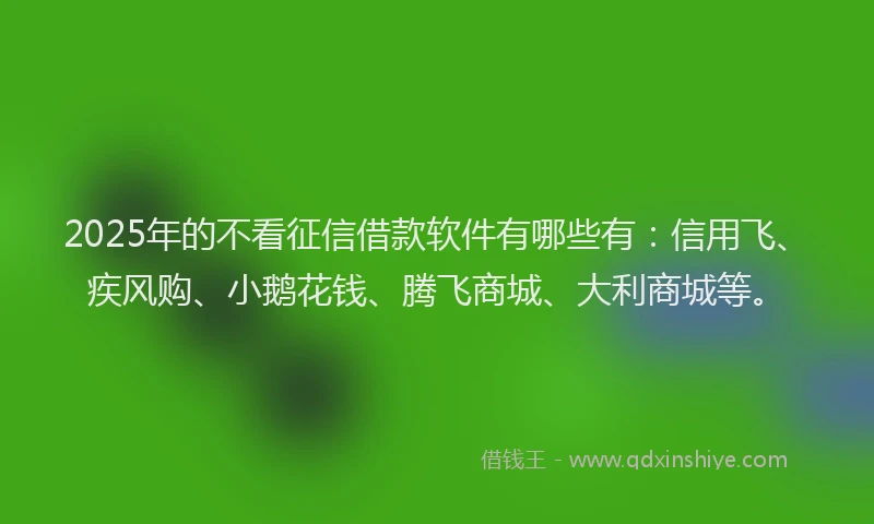 2025年的不看征信借款软件有哪些有：信用飞、疾风购、小鹅花钱、腾飞商城、大利商城等。