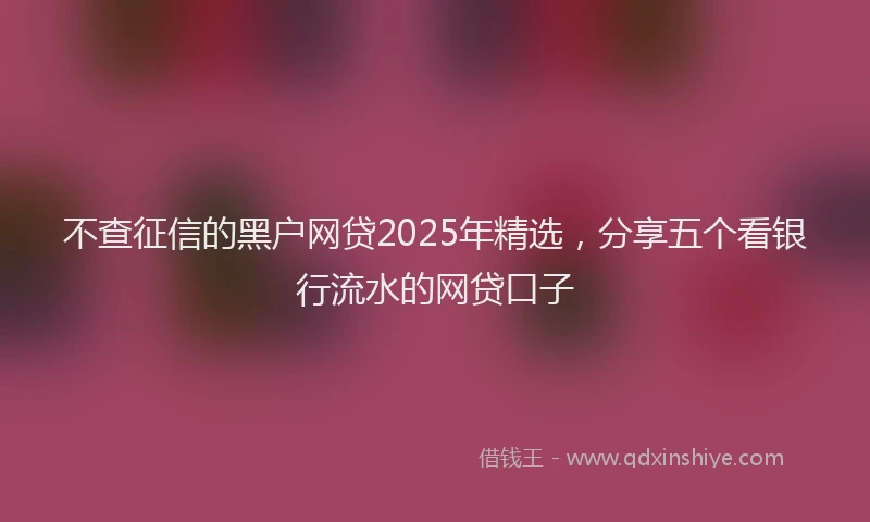 不查征信的黑户网贷2025年精选，分享五个看银行流水的网贷口子