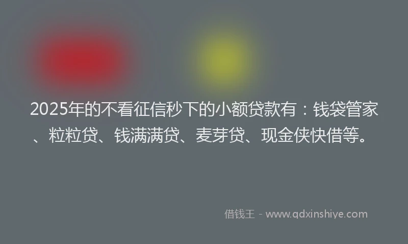2025年的不看征信秒下的小额贷款有：钱袋管家、粒粒贷、钱满满贷、麦芽贷、现金侠快借等。