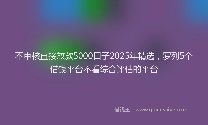 不审核直接放款5000口子2025年精选，罗列5个借钱平台不看综合评估的平台
