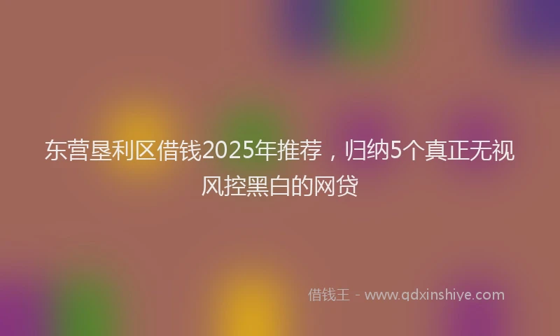 东营垦利区借钱2025年推荐，归纳5个真正无视风控黑白的网贷