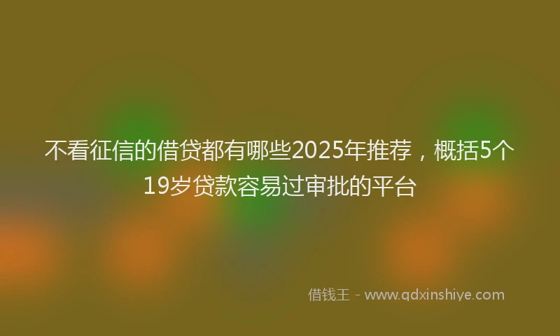 不看征信的借贷都有哪些2025年推荐，概括5个19岁贷款容易过审批的平台
