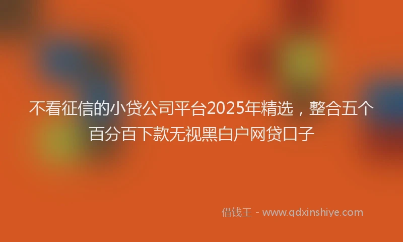 不看征信的小贷公司平台2025年精选，整合五个百分百下款无视黑白户网贷口子