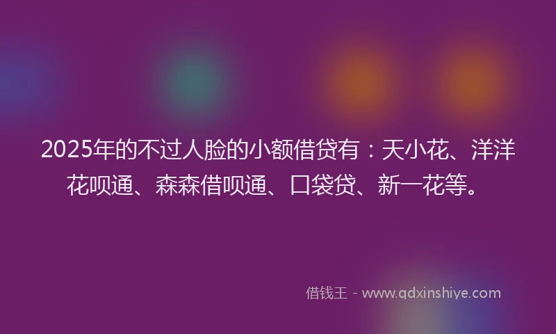 2025年的不过人脸的小额借贷有：天小花、洋洋花呗通、森森借呗通、口袋贷、新一花等。