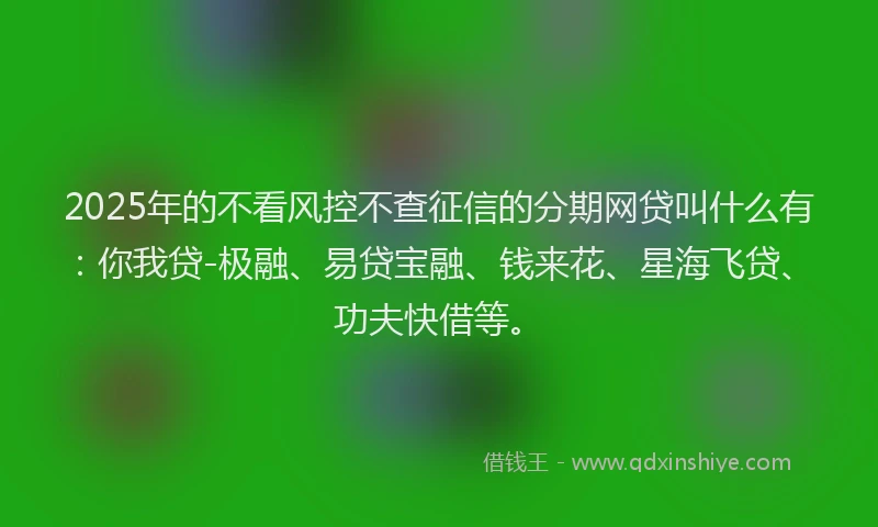2025年的不看风控不查征信的分期网贷叫什么有：你我贷-极融、易贷宝融、钱来花、星海飞贷、功夫快借等。