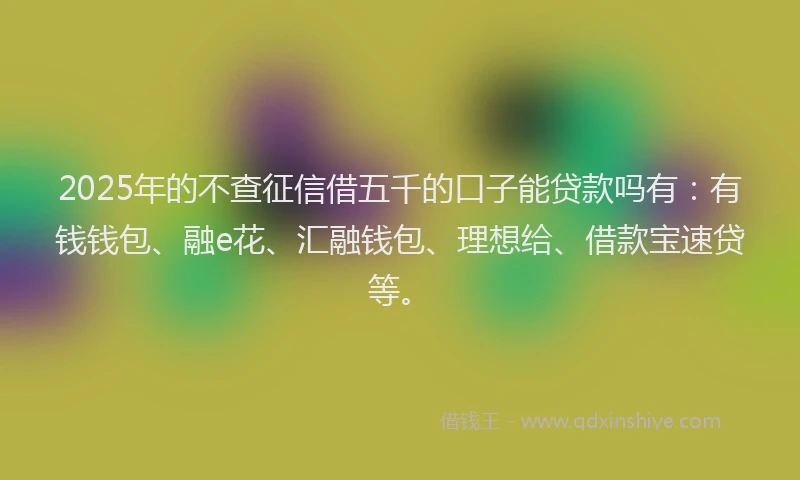 2025年的不查征信借五千的口子能贷款吗有：有钱钱包、融e花、汇融钱包、理想给、借款宝速贷等。