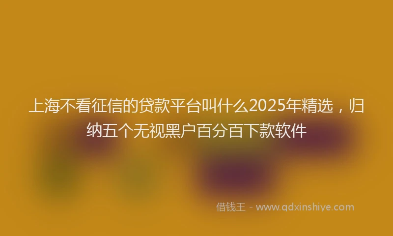 上海不看征信的贷款平台叫什么2025年精选，归纳五个无视黑户百分百下款软件
