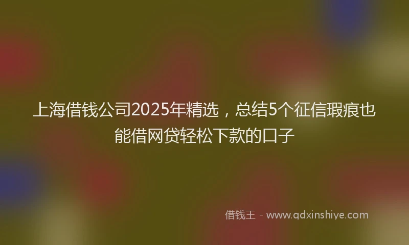 上海借钱公司2025年精选，总结5个征信瑕疵也能借网贷轻松下款的口子