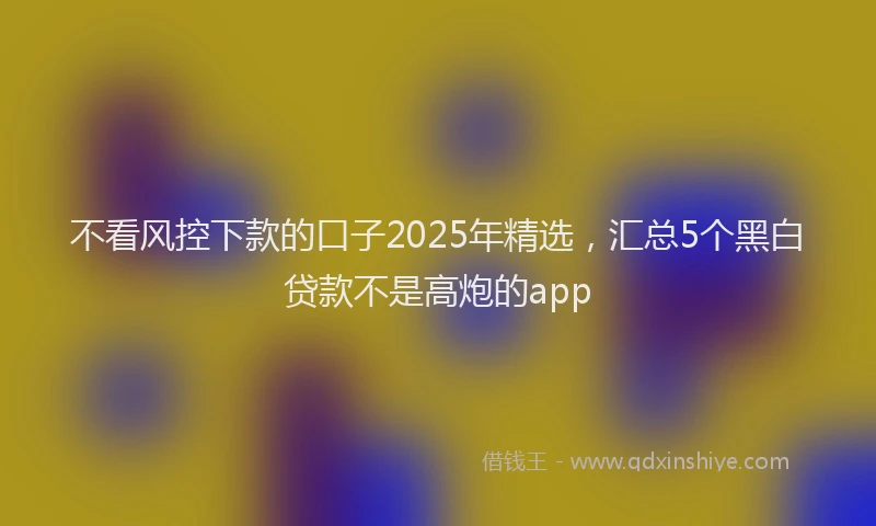 不看风控下款的口子2025年精选，汇总5个黑白贷款不是高炮的app