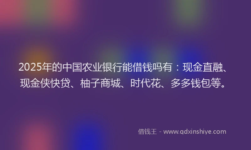 2025年的中国农业银行能借钱吗有：现金直融、现金侠快贷、柚子商城、时代花、多多钱包等。