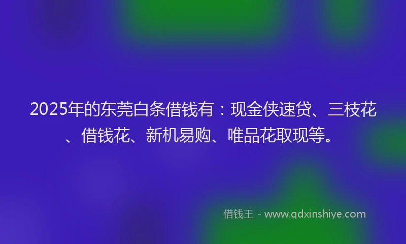 2025年的东莞白条借钱有：现金侠速贷、三枝花、借钱花、新机易购、唯品花取现等。