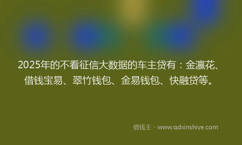 2025年的不看征信大数据的车主贷有：金瀛花、借钱宝易、翠竹钱包、金易钱包、快融贷等。