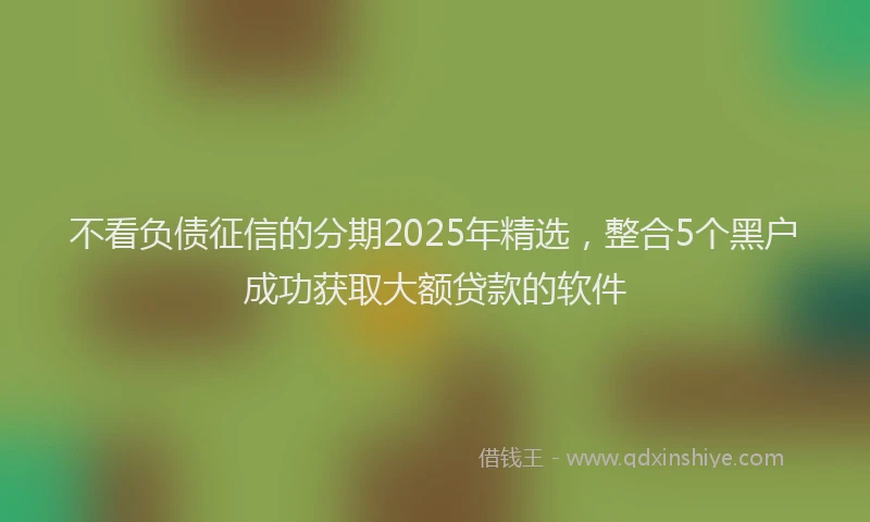 不看负债征信的分期2025年精选，整合5个黑户成功获取大额贷款的软件