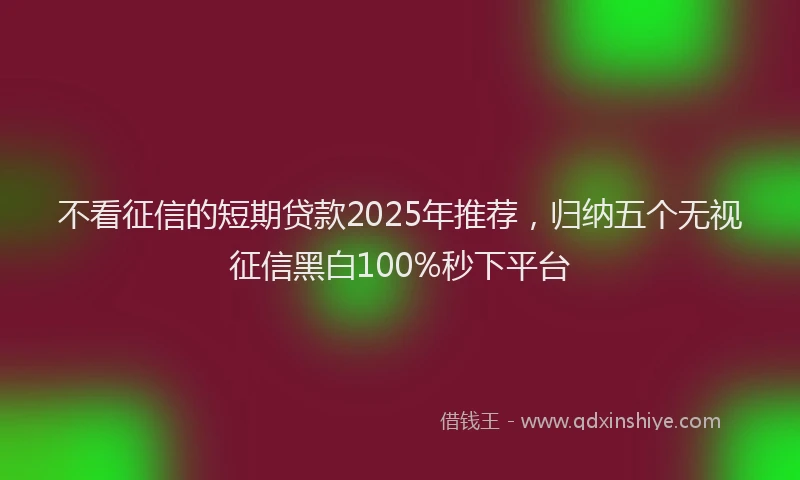 不看征信的短期贷款2025年推荐，归纳五个无视征信黑白100%秒下平台