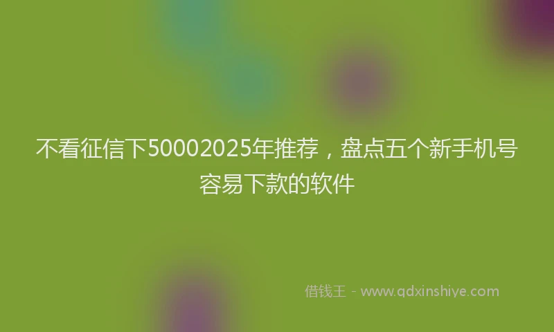 不看征信下50002025年推荐，盘点五个新手机号容易下款的软件