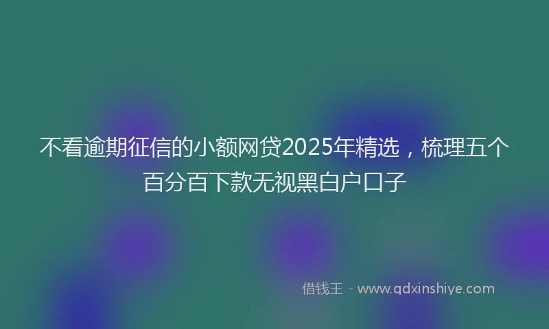 不看逾期征信的小额网贷2025年精选，梳理五个百分百下款无视黑白户口子