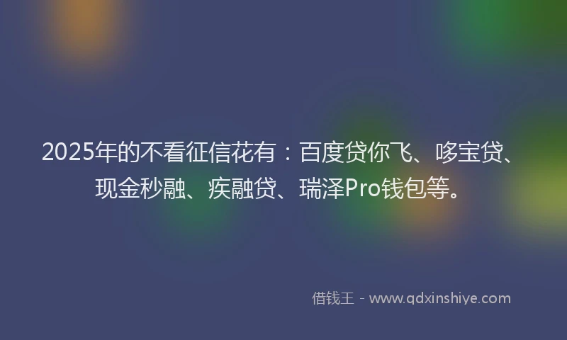2025年的不看征信花有：百度贷你飞、哆宝贷、现金秒融、疾融贷、瑞泽Pro钱包等。