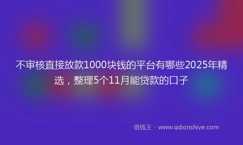 不审核直接放款1000块钱的平台有哪些2025年精选，整理5个11月能贷款的口子