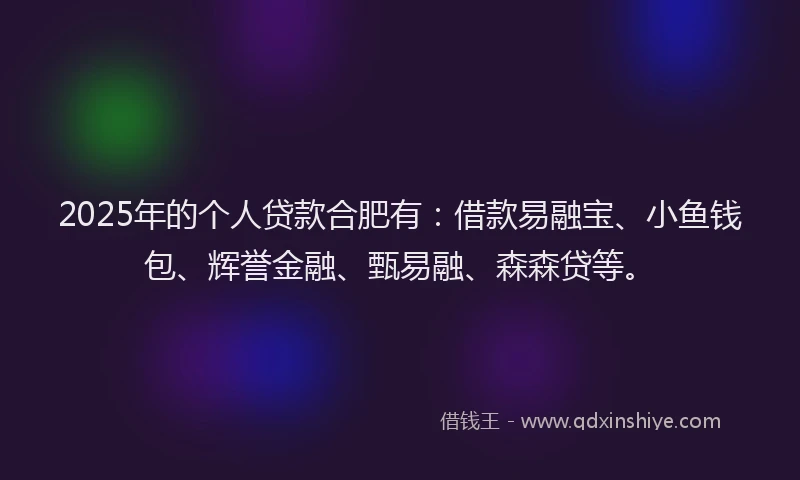 2025年的个人贷款合肥有：借款易融宝、小鱼钱包、辉誉金融、甄易融、森森贷等。