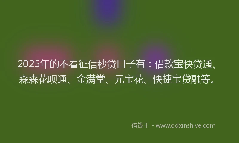 2025年的不看征信秒贷口子有：借款宝快贷通、森森花呗通、金满堂、元宝花、快捷宝贷融等。
