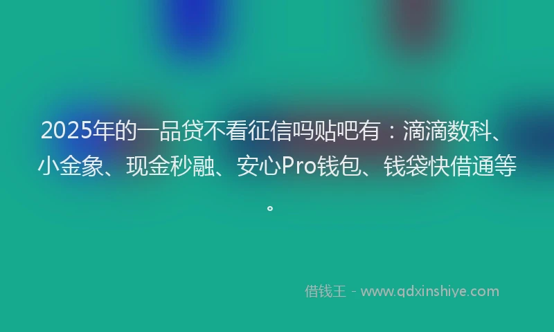 2025年的一品贷不看征信吗贴吧有：滴滴数科、小金象、现金秒融、安心Pro钱包、钱袋快借通等。
