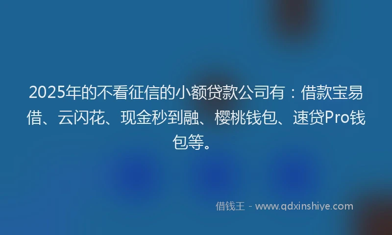 2025年的不看征信的小额贷款公司有：借款宝易借、云闪花、现金秒到融、樱桃钱包、速贷Pro钱包等。