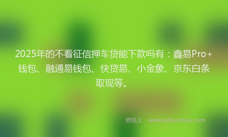 2025年的不看征信押车贷能下款吗有：鑫易Pro+钱包、融通易钱包、快贷易、小金象、京东白条取现等。