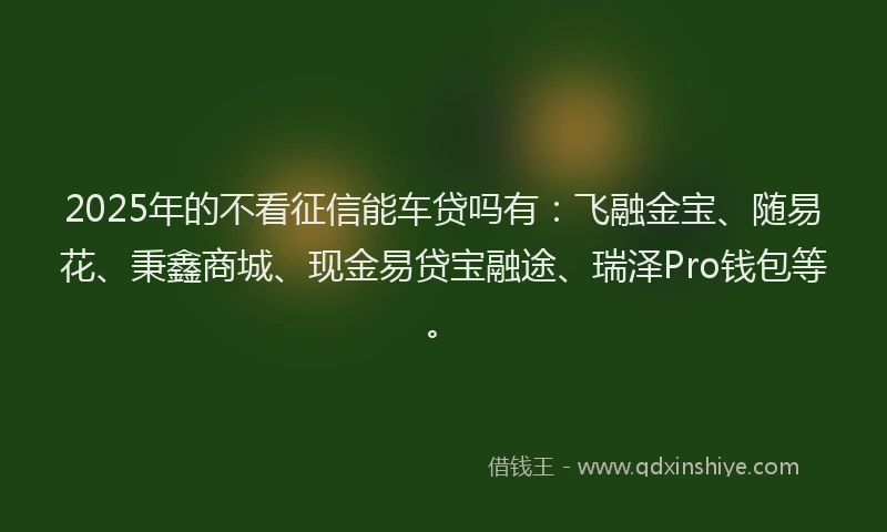 2025年的不看征信能车贷吗有：飞融金宝、随易花、秉鑫商城、现金易贷宝融途、瑞泽Pro钱包等。