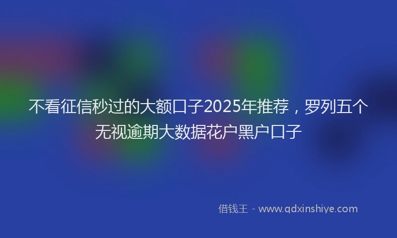 不看征信秒过的大额口子2025年推荐，罗列五个无视逾期大数据花户黑户口子