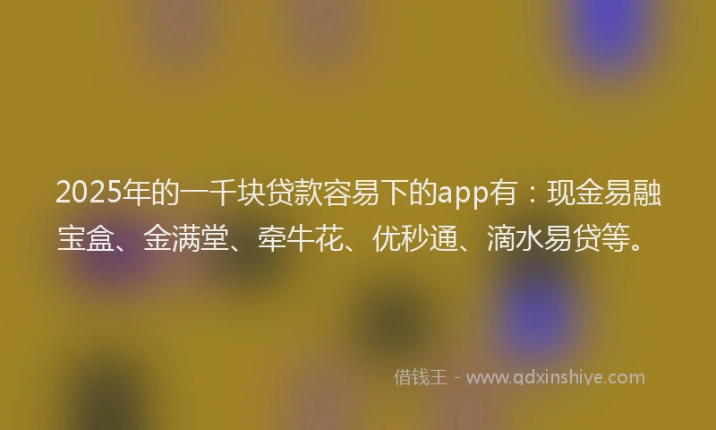 2025年的一千块贷款容易下的app有：现金易融宝盒、金满堂、牵牛花、优秒通、滴水易贷等。