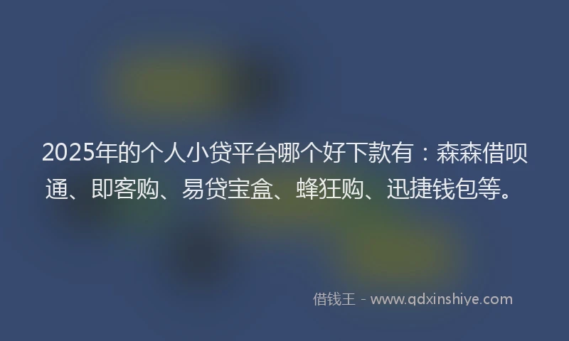 2025年的个人小贷平台哪个好下款有：森森借呗通、即客购、易贷宝盒、蜂狂购、迅捷钱包等。